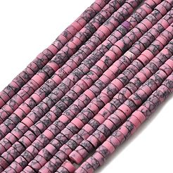 Dyed Synthetic Turquoise Beads Strands&nbsp;G-Z089-A04-K