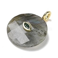 Natural Labradorite Faceted Pendants&nbsp;G-A287-02G-13