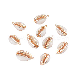 Electroplate Cowrie Shell Links connectors&nbsp;SHEL-CJ0001-01