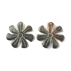 Natural Black Lip Shell Pendants&nbsp;SSHEL-T012-10