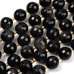 Natural Silver Sheen Obsidian Beads Strands&nbsp;G-C249-A01-16mm