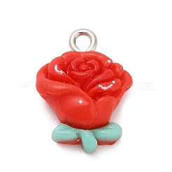 Opaque Resin Pendants&nbsp;RESI-A047-04B