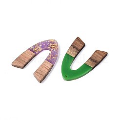 Opaque Resin and Walnut Wood Pendants&nbsp;RESI-T060-19M