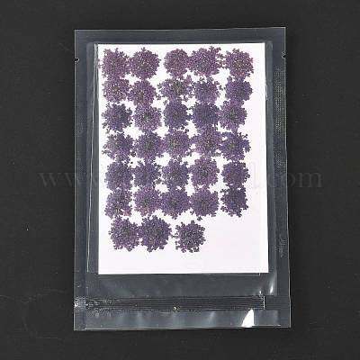 Pressed Dried Flowers&nbsp;DIY-K032-58D-1