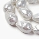 Shell Pearl Beads Strands&nbsp;BSHE-O018-06-2