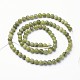 Natural Taiwan Jade Beads Strands&nbsp;X-GSR4MMC032-3