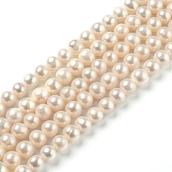 Natural Cultured Freshwater Pearl Beads Strands, Round, Bisque, 7~7.5x7~9mm, Hole: 0.5mm, about 51pcs/strand, 14.65 inch(37.2cm)