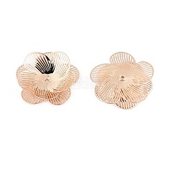Brass Bead Caps&nbsp;KK-N278-03KCG
