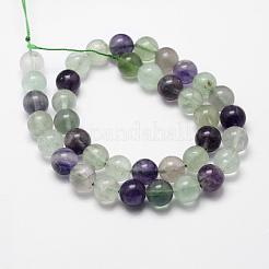 Natural Fluorite Bead Strands&nbsp;G-D840-56-8mm-AB
