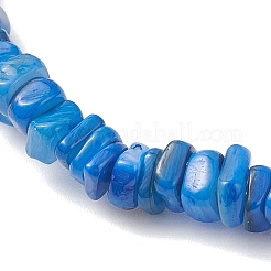 6Pcs 6 Colors Natural Freshwater Shell Chip Beaded Stretch Bracelets&nbsp;BJEW-JB12725