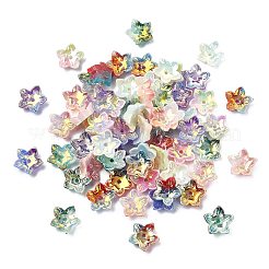 100Pcs 6 Colors Electroplate Two Tone Transparent Resin Beads&nbsp;RESI-CJ0005-28