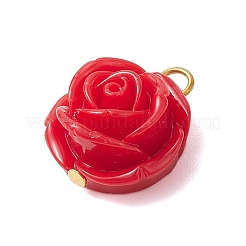 Opaque Resin Pendants&nbsp;PALLOY-JF02752-02