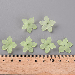 Frosted Acrylic Bead Caps&nbsp;MACR-S371-05A-728