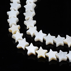 Natural Freshwater Shell Beads Strands&nbsp;LS-SHEL-S278-01A-01