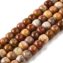 Natural Red Rainbow Jasper Beads Strands&nbsp;G-U023-B02-03