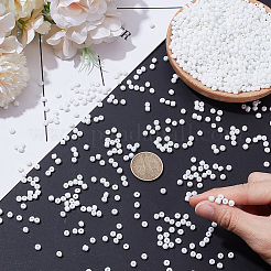 200G Glass Seed Beads&nbsp;SEED-SP0001-14B-01