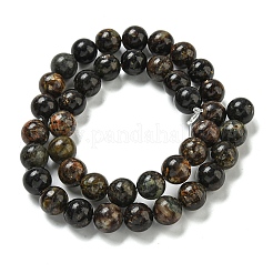 Natural Phlogopite Beads Strands&nbsp;G-P546-A01-04