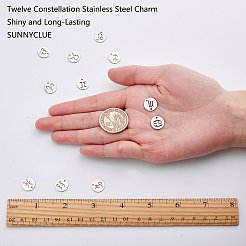 304 Stainless Steel Charms&nbsp;STAS-SC0001-19P