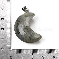 Natural Labradorite Pendants&nbsp;G-F820-02C
