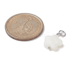 12Pcs 12 Styles Natural Freshwater Shell Big Pendants Set&nbsp;PALLOY-JF02079