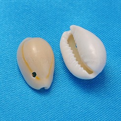 Natural Cowrie Shell Beads&nbsp;X-BSHE-S055