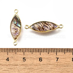 Brass Pave Natural Paua Shell Connector Charms&nbsp;KK-E794-01G-06