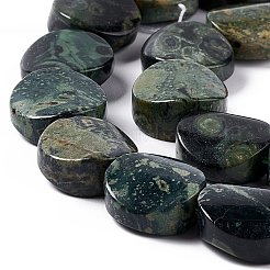 Natural Kambaba Jasper Beads Strands&nbsp;G-O120-16