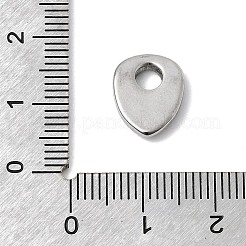 304 Stainless Steel Charms&nbsp;STAS-H247-06P