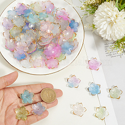 180Pcs 6 Colors Transparent Acrylic Bead Caps&nbsp;TACR-PA0001-08
