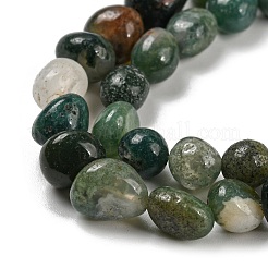 Natural Indian Agate Bead Strands&nbsp;G-P070-51A