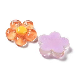 Translucent Resin Cabochons&nbsp;X-RESI-H155-01