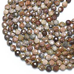 Natural Bloodstone Beads Strands&nbsp;G-K389-B59-01