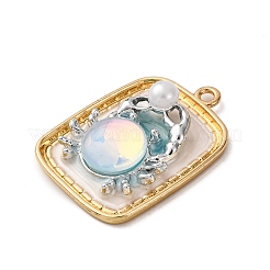 Light Gold Tone Alloy Enamel Pendants&nbsp;ENAM-B028-37KCG-01A