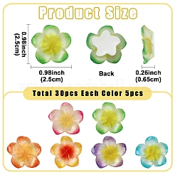 30Pcs 6 Colors Resin Cabochons&nbsp;RESI-YW0005-98