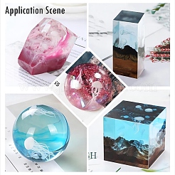 Sealife Model&nbsp;DIY-F039-05B-02