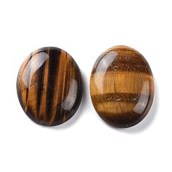 Natural Yellow Tight Eye Cabochons&nbsp;G-H231-22