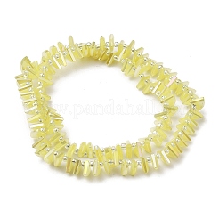 Electroplate Glass Beads Strands&nbsp;EGLA-S176-05A-B13