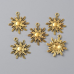 Tibetan Style Alloy Pendants&nbsp;FIND-WH0110-502E
