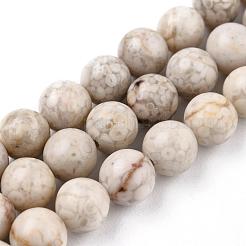 Natural Maifanite/Maifan Stone Beads Strands&nbsp;X-G-I187-8mm-01