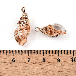 Natural Sea Shell Pendants&nbsp;SSHEL-N038-45