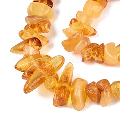Natural Amber Beads Strands&nbsp;G-N371-13A-01