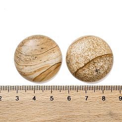 Natural Picture Jasper Cabochons&nbsp;G-B085-02A-07