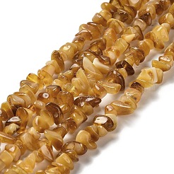 Natural Amber Beads Strands&nbsp;G-L095-N01-01