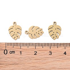 Ion Plating(IP) 304 Stainless Steel Charms&nbsp;STAS-S107-05