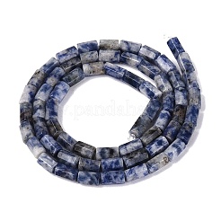 Natural Blue Spot Jasper Beads Strands&nbsp;GG-N002-01A-25