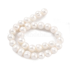 Natural Cultured Freshwater Pearl Beads Strands&nbsp;PEAR-C003-13C
