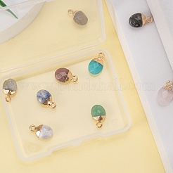 10Pcs 10 Style Natural Gemstone Charms&nbsp;G-LS0002-15