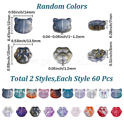120Pcs 2 Styles Transparent Glass Beads&nbsp;GLAA-SC0003-01