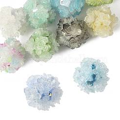 10Pcs 10 Colors Resin Beads&nbsp;RESI-FS0002-24A