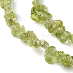 Natural Peridot Beads Strands&nbsp;G-G0003-B27